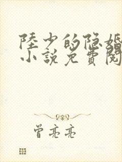 陆少的隐婚罪妻小说免费阅读