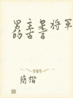 男主是将军很虐的古言