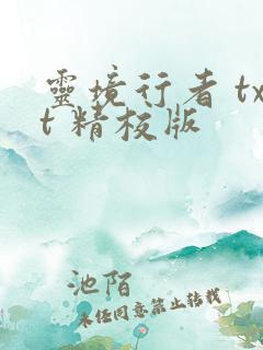 灵境行者 txt 精校版