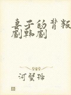 妻子的背叛电视剧韩剧