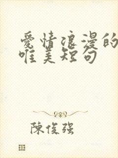 爱情浪漫的句子唯美短句