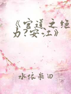 《官道之绝对权力?安江》