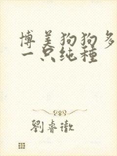 博美狗狗多少钱一只纯种