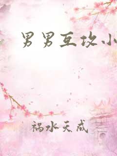 男男互攻小说h
