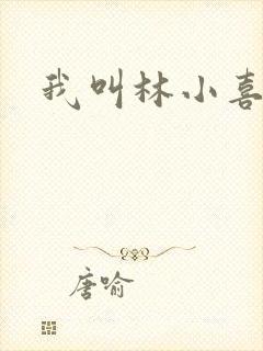 我叫林小喜17