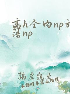 高h全肉np放荡np