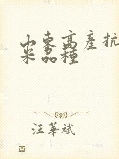 山东高产抗倒玉米品种
