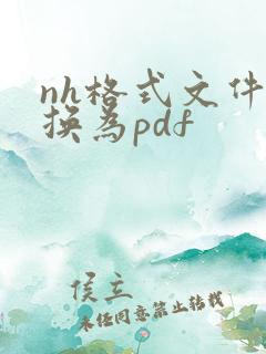 nh格式文件转换为pdf