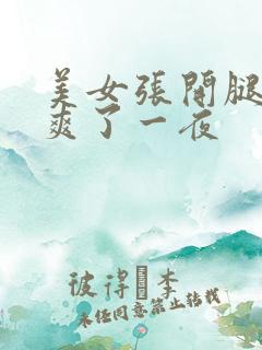 美女张开腿让我爽了一夜