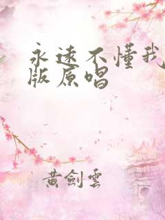 永远不懂我dj版原唱