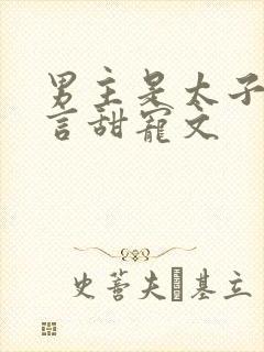 男主是太子的古言甜宠文