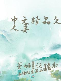 中文精品久久久人妻