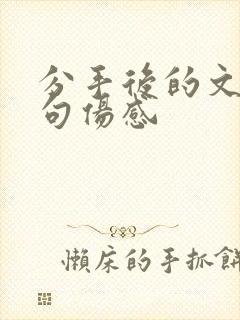 分手后的文案长句伤感