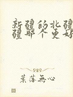 新疆的北疆和南疆哪个更好玩