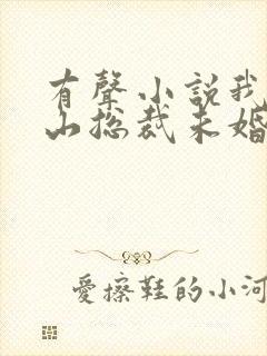 有声小说我的冰山总裁未婚妻