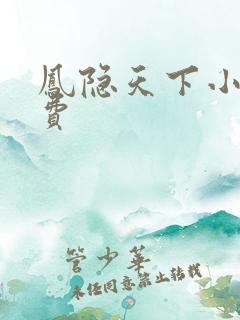 凤隐天下小说免费