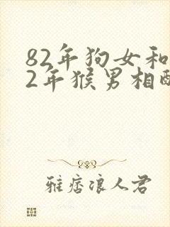 82年狗女和92年猴男相配婚姻如何