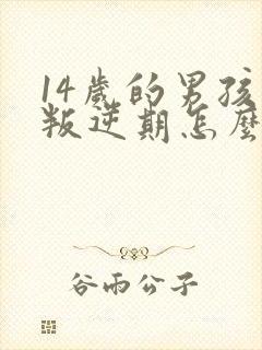 14岁的男孩子叛逆期怎么办