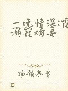 一晚情深:霍少溺宠娇妻