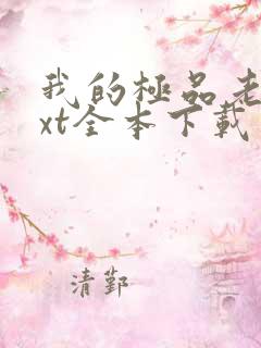 我的极品老婆txt全本下载