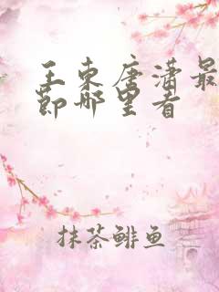 王东唐潇最新章节哪里看
