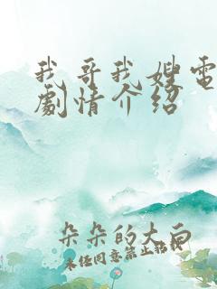 我哥我嫂电视剧剧情介绍