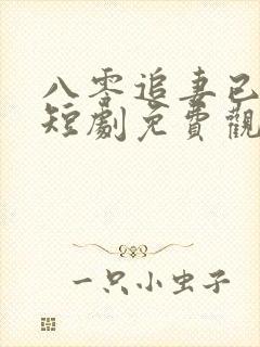 八零追妻已太迟短剧免费观看全集