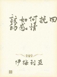 该如何挽回老公的感情
