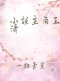小说主角王东唐潇