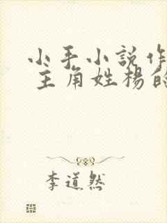 小手小说作品集 主角姓杨的