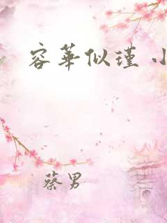 容华似瑾 小说