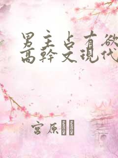 男主占有欲强的高干文现代文