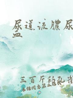尿道流脓尿中带血