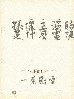 孙俪主演的苏晓是什么电视剧名字