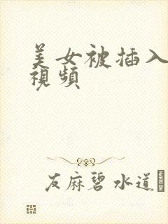 美女被插入高潮视频