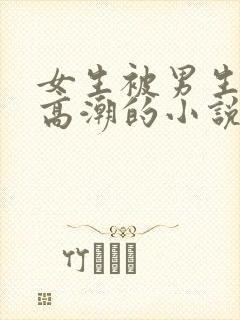 女生被男生操的高潮的小说
