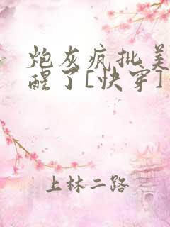 炮灰疯批美人觉醒了[快穿]作者:人间甜橙