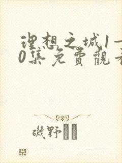 理想之城1—40集免费观看在线