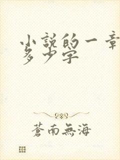 小说的一章大概多少字
