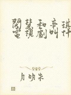 闵慧和辛琪演的电视剧叫什么名字