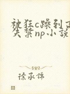 被狂c躁到高潮失禁np小说推荐