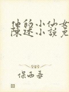 他的小仙女安静陈述小说免费阅读