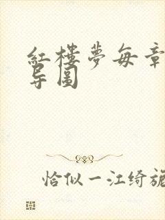 红楼梦每章思维导图