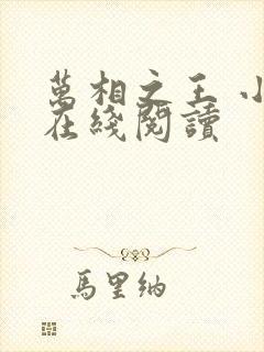 万相之王 小说在线阅读