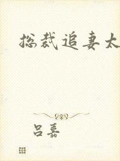 总裁追妻太凶猛