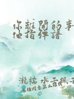 你离开的事实吉他指弹谱