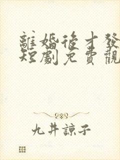 离婚后才发现爱短剧免费观看全集