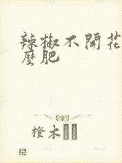 辣椒不开花施什么肥