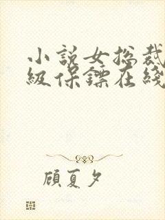 小说女总裁的神级保镖在线观看