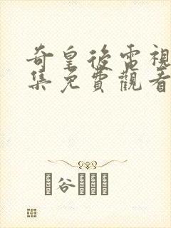 奇皇后电视剧全集免费观看国语